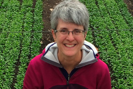 Stewards of the Soil